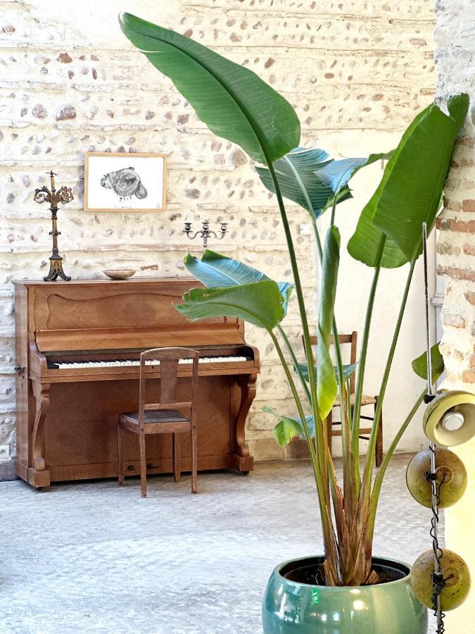 Magnifique Loft - Piscine - Tennis - Babyfoot Nîmes Eksteriør billede
