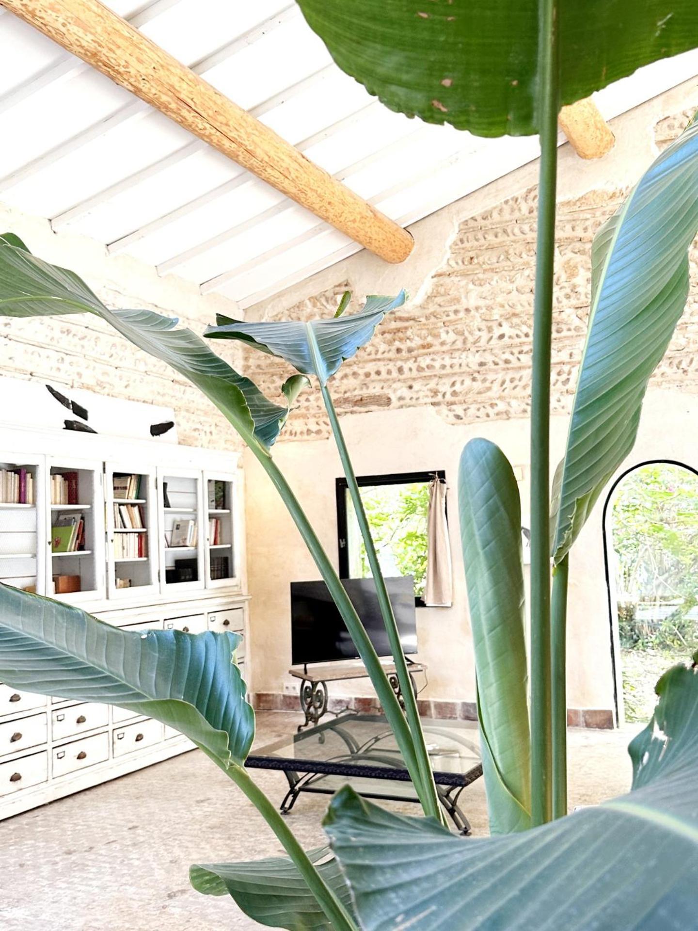 Magnifique Loft - Piscine - Tennis - Babyfoot Nîmes Eksteriør billede